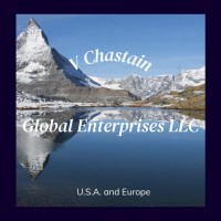 V Chastain Global Enterprises LLC logo, V Chastain Global Enterprises LLC contact details