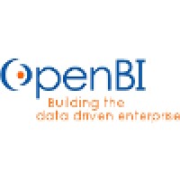 OpenBI, LLC logo, OpenBI, LLC contact details