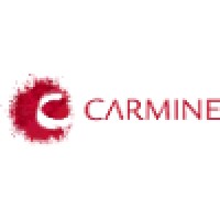 Carmine Interactive logo, Carmine Interactive contact details