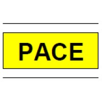 Pace Process Controls Pvt. Ltd. logo, Pace Process Controls Pvt. Ltd. contact details