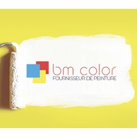 BM Color - Magasin de peintures professionnelles logo, BM Color - Magasin de peintures professionnelles contact details