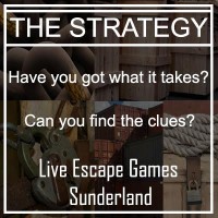 The-Strategy Sunderland logo, The-Strategy Sunderland contact details