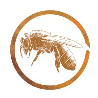 CannonBee logo, CannonBee contact details