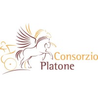 Consorzio Platone logo, Consorzio Platone contact details