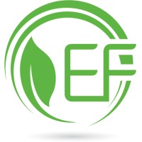 EF Global Ltd logo, EF Global Ltd contact details