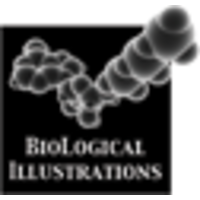 BioLogical Illustrations logo, BioLogical Illustrations contact details