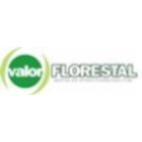 Valor Florestal - Gestao de Ativos Florestais logo, Valor Florestal - Gestao de Ativos Florestais contact details