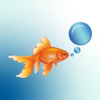 Goldfish Media LLC logo, Goldfish Media LLC contact details