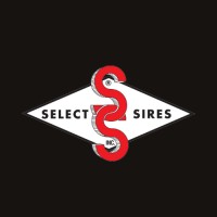 Select Sires do Brasil logo, Select Sires do Brasil contact details