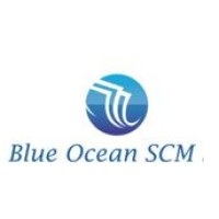 Blue Ocean Strategic Capital Management Ltd. logo, Blue Ocean Strategic Capital Management Ltd. contact details