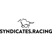 Syndicates.Racing logo, Syndicates.Racing contact details