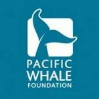 PACIFIC WHALE WATCH ASSOCIATION logo, PACIFIC WHALE WATCH ASSOCIATION contact details