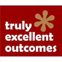 TRULY EXCELLENT OUTCOMES LIMITED logo, TRULY EXCELLENT OUTCOMES LIMITED contact details