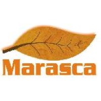 Tabacos Marasca logo, Tabacos Marasca contact details