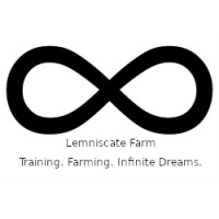 Lemniscate, LLC logo, Lemniscate, LLC contact details