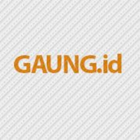 Gaung Network logo, Gaung Network contact details