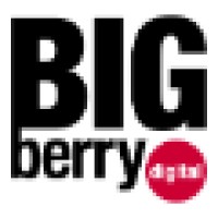 Bigberry Digital logo, Bigberry Digital contact details