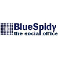 BlueSpidy logo, BlueSpidy contact details