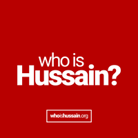 whoisHussain Chicago NFP logo, whoisHussain Chicago NFP contact details