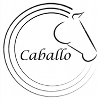 Caballo LLC logo, Caballo LLC contact details