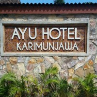 AYU HOTEL logo, AYU HOTEL contact details