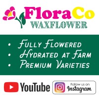 FloraCo - A California Grower in Peru logo, FloraCo - A California Grower in Peru contact details