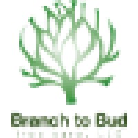 Branch to Bud Tree Care logo, Branch to Bud Tree Care contact details