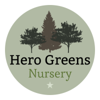 Hero Greens Nursery logo, Hero Greens Nursery contact details