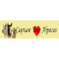 Capture Your Heart Alpacas logo, Capture Your Heart Alpacas contact details