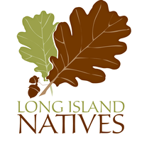 Long Island Natives logo, Long Island Natives contact details