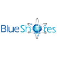 Blue Shores Solutions Pvt. Ltd. logo, Blue Shores Solutions Pvt. Ltd. contact details