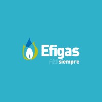 EFIGAS logo, EFIGAS contact details