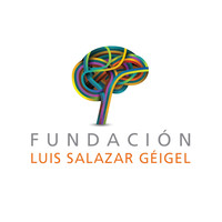 Fundacion Luis Salazar Geigel logo, Fundacion Luis Salazar Geigel contact details