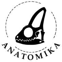 Anatomika logo, Anatomika contact details