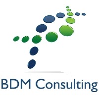 BDM Consulting Services, LLC logo, BDM Consulting Services, LLC contact details