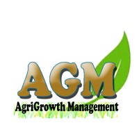 AGM Consulting logo, AGM Consulting contact details