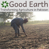 Good Earth Pakistan logo, Good Earth Pakistan contact details