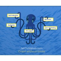 Jet Octopus Website Crawler logo, Jet Octopus Website Crawler contact details