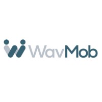 Wavmob logo, Wavmob contact details