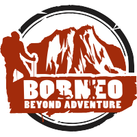 Borneo Beyond Adventure logo, Borneo Beyond Adventure contact details