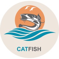 Catfish-USA Web Site Designs logo, Catfish-USA Web Site Designs contact details