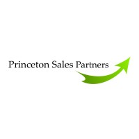 Princeton Sales Partners logo, Princeton Sales Partners contact details