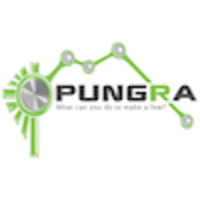 Pungra LLC logo, Pungra LLC contact details