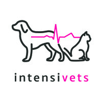 Intensivets logo, Intensivets contact details