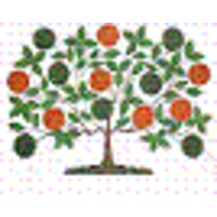 Gardening Coaches logo, Gardening Coaches contact details