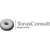 TorusConsult logo, TorusConsult contact details