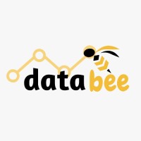 DataBee Consultant logo, DataBee Consultant contact details