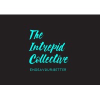 Intrepid Collective logo, Intrepid Collective contact details