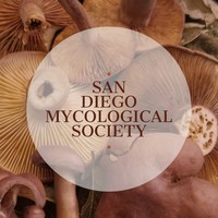 San Diego Mycological Society logo, San Diego Mycological Society contact details