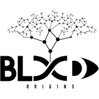 Blood Origins logo, Blood Origins contact details